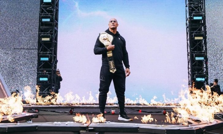who is Dwayne Johnson's twin brother?