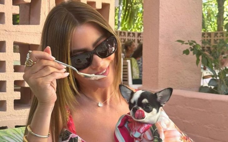 Sofia Vergara's divorce
